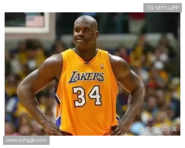 2004年NBA选秀的历史与重要球员 2004年NBA选秀的历史与重要球员