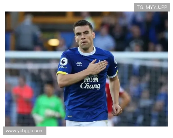 FM2018中下游英超球队转会目标与阵容构建 FM2018中下游英超球队转会目标与阵容构建