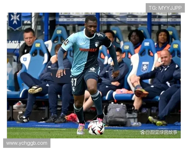 法甲球迷文化：深入了解法甲球迷的独特文化