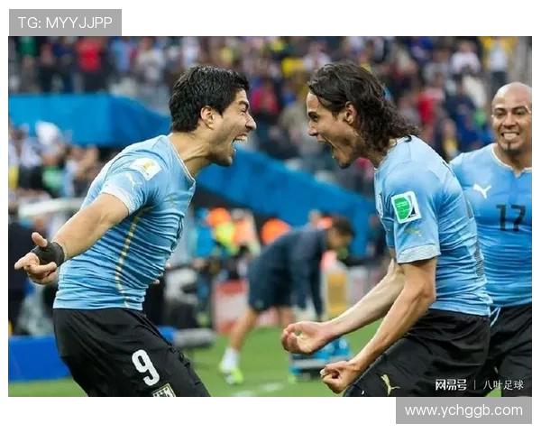 OW世界杯中国队征战历程与荣耀背后的青春力量与全球强队巅峰对决